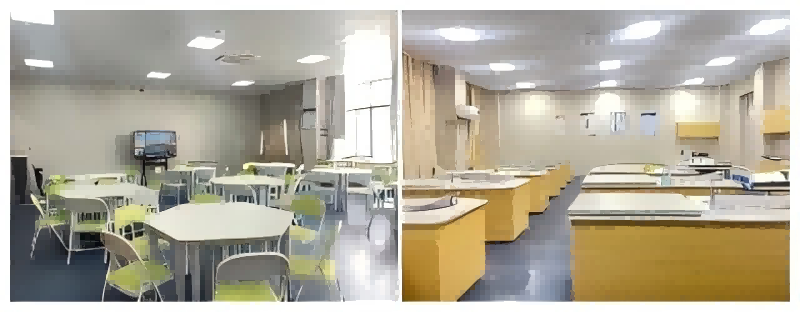 㽭𻪿óְҵѧԺӤ׶רҵ